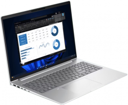 Notebook HP ProBook 460 G11 (A4MP1PT#AKL)